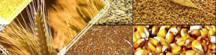 ПРОДУКТИ ПЕРЕРОБКИ СІЛЬГОСП СИРОВИНИ